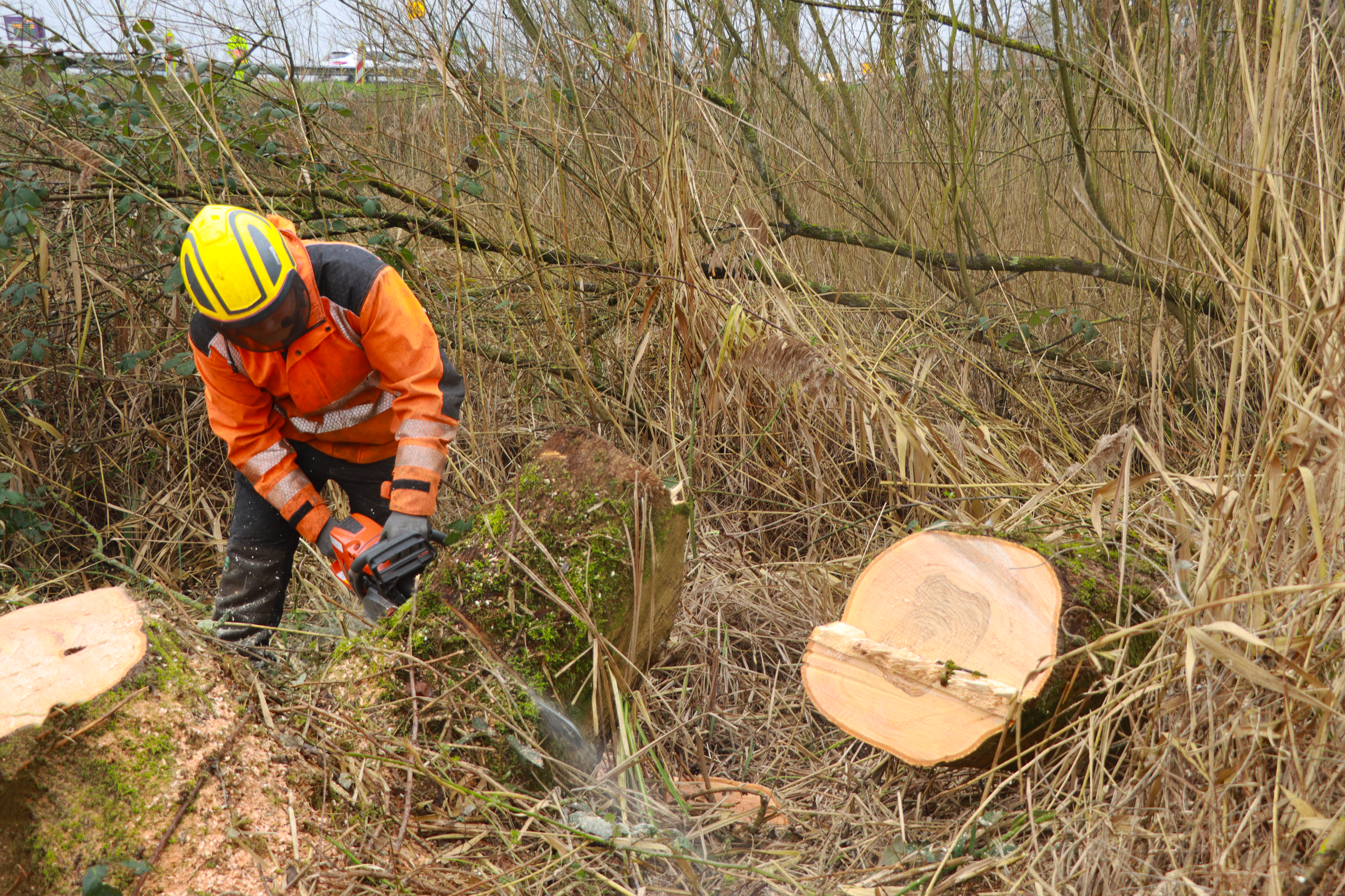 werken in het groen